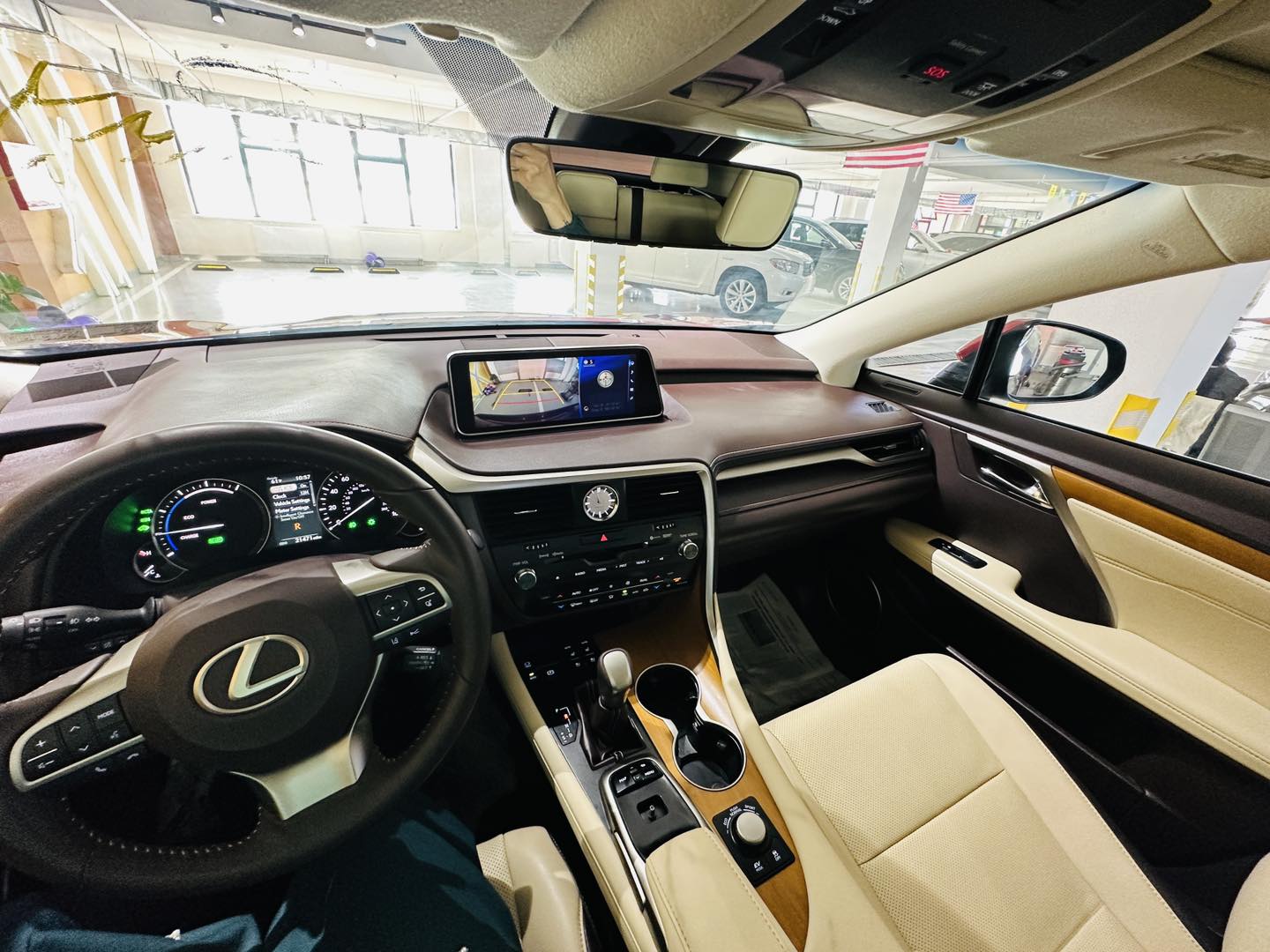 2019 Lexus Hybrid RX 450h